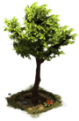 Arquivo:D SS StoneAge Tree.png